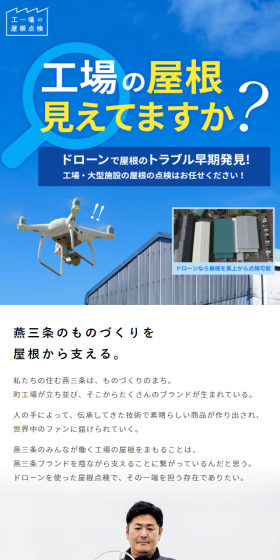 Roof inspection LP design (Services, Insurance, and Finance / Shades of blue / Trust and Safety) Mobile version