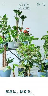 観葉植物・インテリアブランド「AND PLANTS」