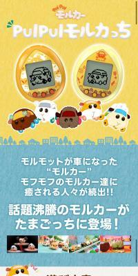 PUI PUI モルカっち