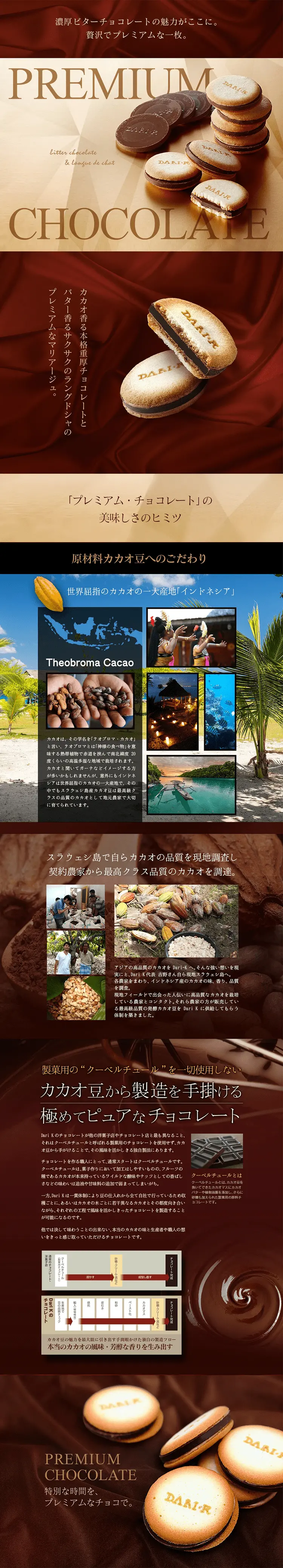 Premium Chocolate Cacao Sand Cookies LP design (Sweets and Snacks / Brown tones / Refined style) PC version