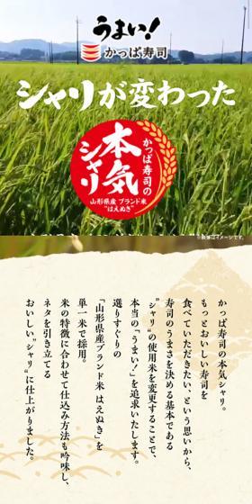 Kappa Sushi's Genuine Sushi Rice LP design (food / Multi-color type / Japanese style) Mobile version