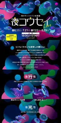 夜コウセイ LOVEのLPデザイン（イベント・キャンペーン・体験／カラフル系／にぎやか系）PC版