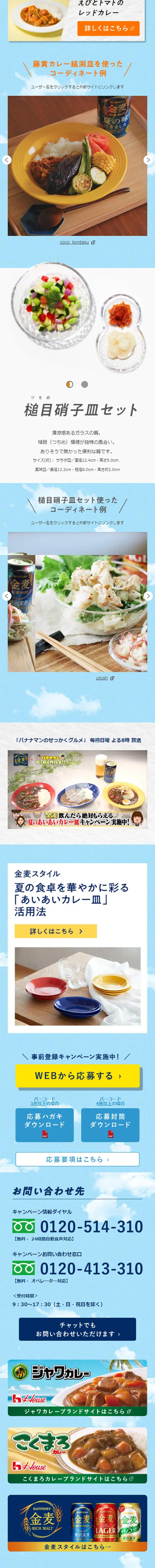 絶対もらえる！夏のあいあいカレー皿キャンペーンのLPデザイン（サービス・保険・金融／ブルー系／シンプル系）スマホ版