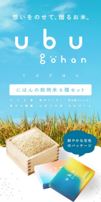 Ubugohan