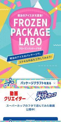 Frozen Package Lab