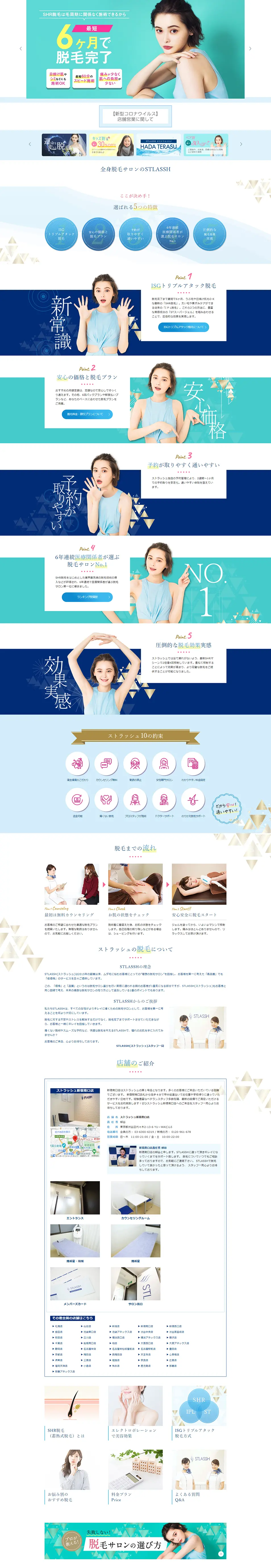 STLASSH LP design (Beauty services / Shades of blue / Refined style) PC version