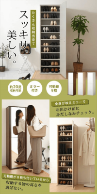 Shoe storage cabinet