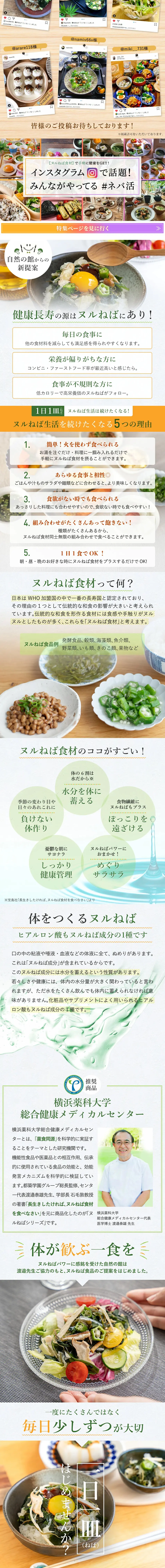 Delicious ingredients for Nuru-neba cuisine LP design (food / Multi-color type / Cute style) PC version