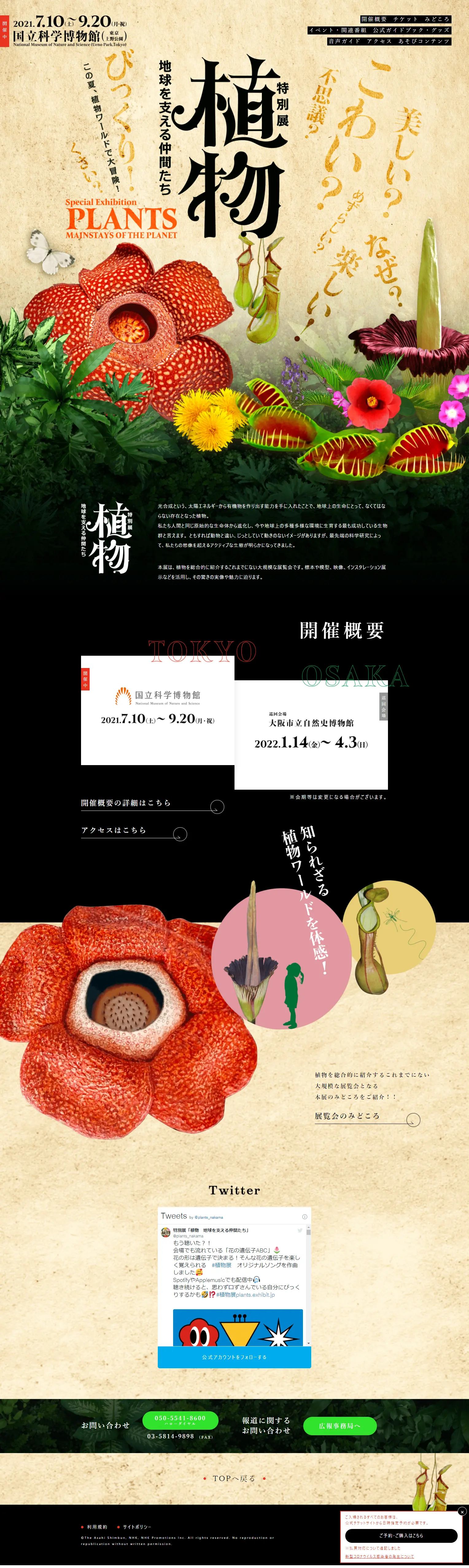 特別展 植物 地球を支える仲間たちのLPデザイン（サービス・保険・金融／ベージュ系／力強い系）PC版