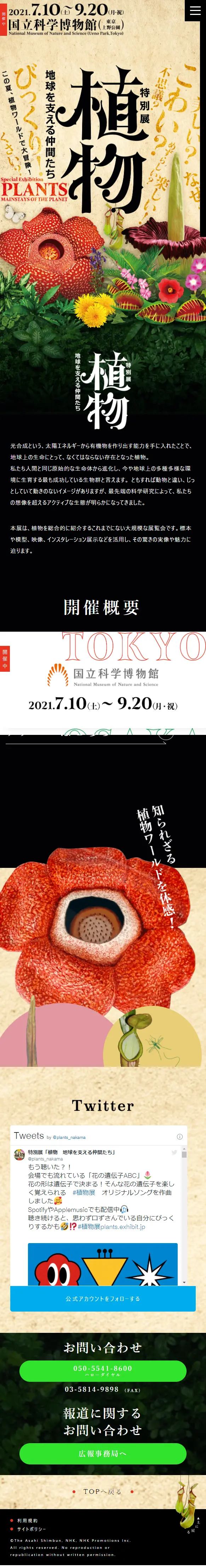 特別展 植物 地球を支える仲間たちのLPデザイン（サービス・保険・金融／ベージュ系／力強い系）スマホ版