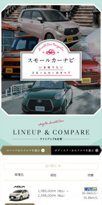 Small Car Navigation