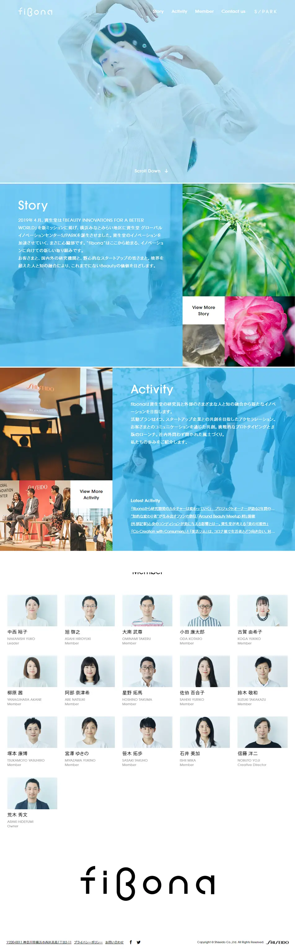 fibona LP design (Businesses, companies, stores / Shades of blue / Simple) PC version