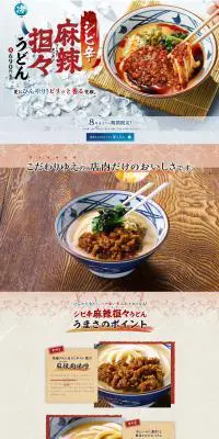 シビ辛麻辣担々うどんのLPデザイン（麺・パン・粉物／レッド系／力強い系）PC版