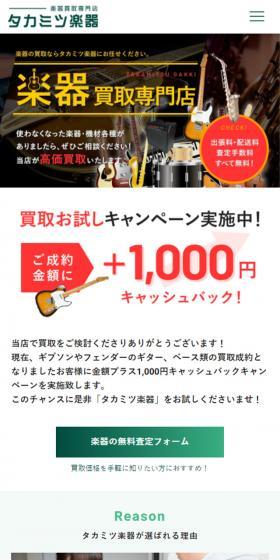 Musical Instrument Buying LP design (Procurement, buyback, and trade-in / Green tones / Cool style) Mobile version
