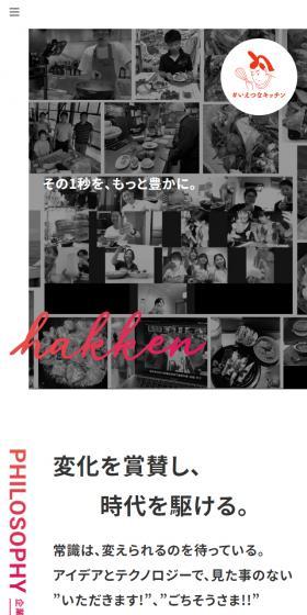 Hakken LP design (Businesses, companies, stores / Pink shades / Simple) Mobile version