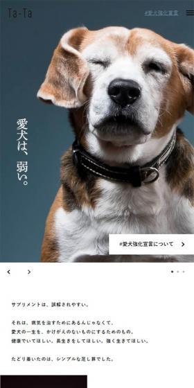 Ta-Ta LP design (Pets, Flowers, DIY Tools / White-based / Simple) Mobile version