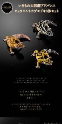 いきもの大図鑑アドバンス　ヒョウモントカゲモドキ3種セットのLPデザイン（玩具・ホビー・フィギュア／ブラック系／かっこいい系）PC版