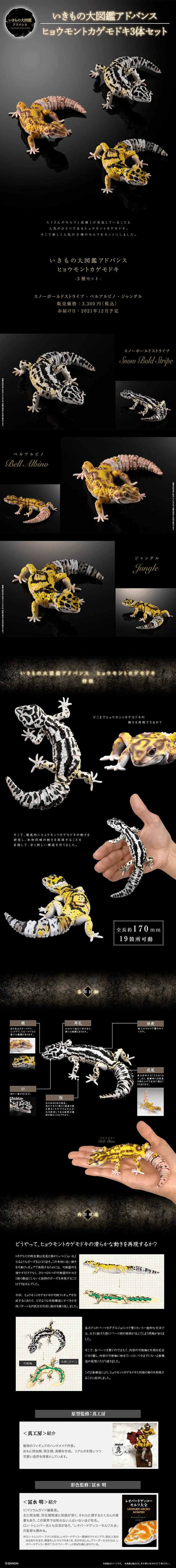 いきもの大図鑑アドバンス　ヒョウモントカゲモドキ3種セットのLPデザイン（キッズ・ベビー・玩具／ブラック系／かっこいい系）PC版