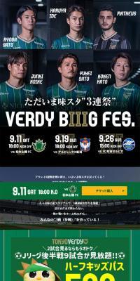 VERDYBIIGFES