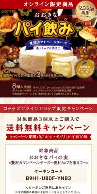 Large Pie Snack