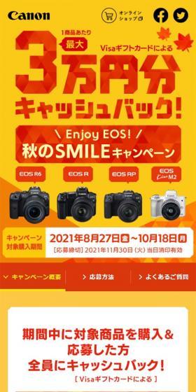 秋のSMILEキャンペーンのLPデザイン（サービス・保険・金融／オレンジ系／シンプル系）スマホ版