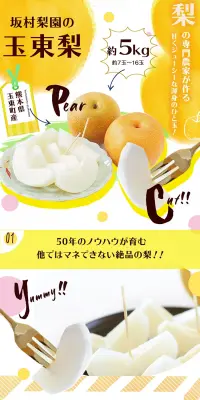 玉東梨のLPデザイン（食品／イエロー系／ナチュラル系）PC版