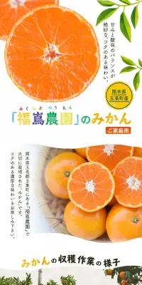 福嶌農園のご家庭用みかんのLPデザイン（食品／ホワイト系／ナチュラル系）PC版