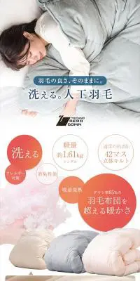 テクノエアロダウンのLPデザイン（寝具・絨毯・家具収納／オレンジ系／清潔系）PC版