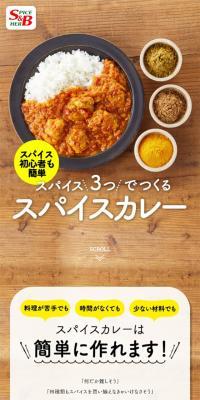 Spice Curry LP design (Retort / Instant / yellow / Natural style) Mobile version