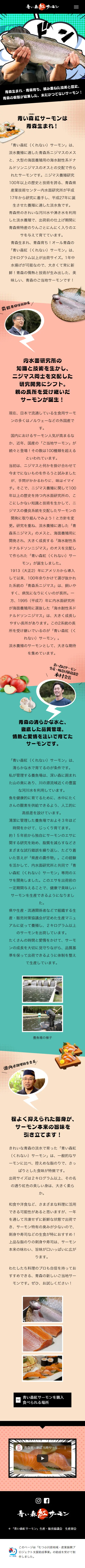 青い森紅サーモンのLPデザイン（魚介類・海産物／オレンジ系／マンガ・イラスト系）スマホ版