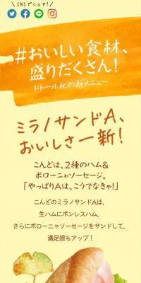 季節のおすすめのLPデザイン（診断・マッチング・まとめ／イエロー系／にぎやか系）スマホ版