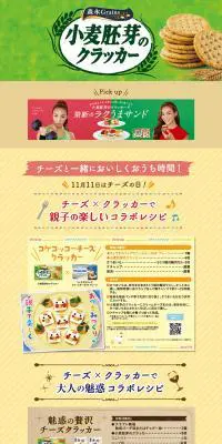 小麦胚芽のクラッカーのLPデザイン（診断・マッチング・まとめ／カラフル系／オーガニック系）PC版