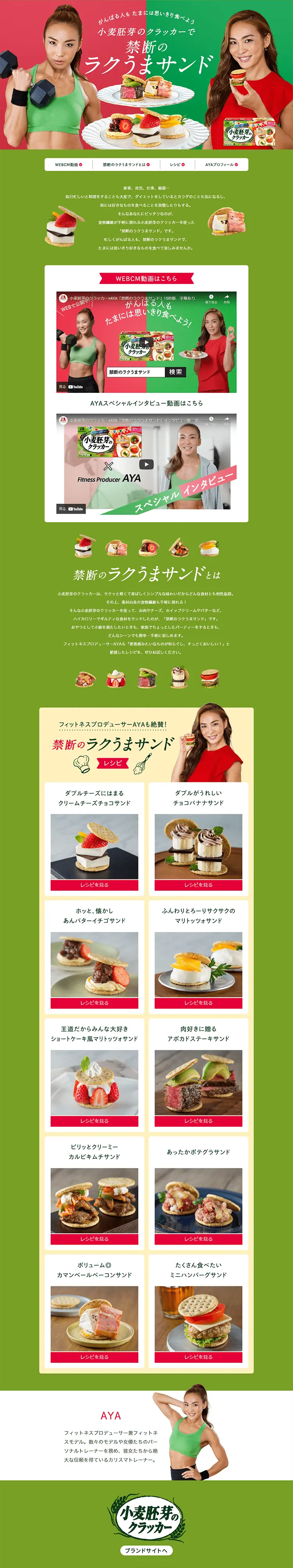 Wheat Germ Cracker Forbiddenly Easy & Delicious Sandwich LP design (Diagnosis, Matching, and Summary / Green tones / Health and Wellness) PC version