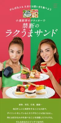 小麦胚芽のクラッカー 禁断のラクうまサンド