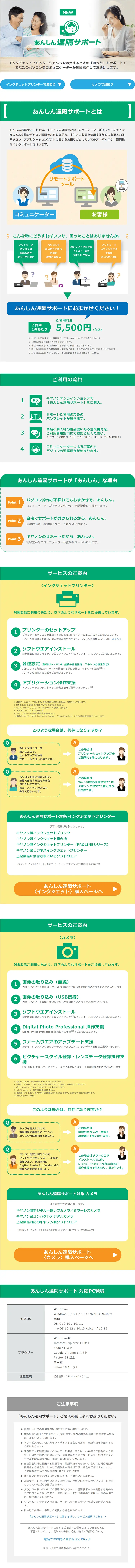 Reliable Remote Support LP design (Design, Apps, Systems / White-based / Trust and Safety) PC version