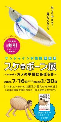 Suke-Bone-ten Exhibition ~meets A Turtle's Shell Is a Rib Cage~