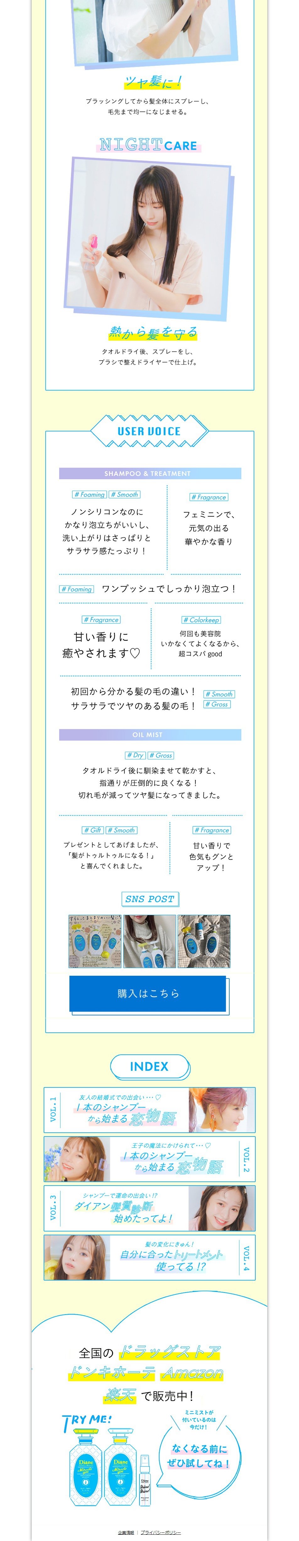 ダイアン　Vol.2 1本のシャンプーから始まる恋物語のLPデザイン（スキンケア・ボディケア・ヘアケア／マンガ・イラスト系）PC版