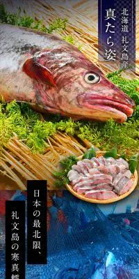 礼文島産真だら姿メスのLPデザイン（魚介類・海産物／ブルー系／和風系）PC版