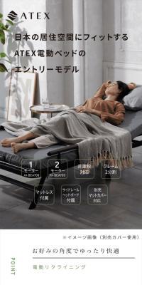 Electric Reclining Bed AX-BEA708