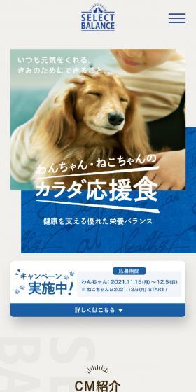 Health Support Food for Dogs and Cats LP design (Pet food and pet supplies / Shades of blue / Simple) Mobile version