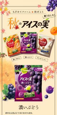 Ice no Mi [Autumn Flavor]
