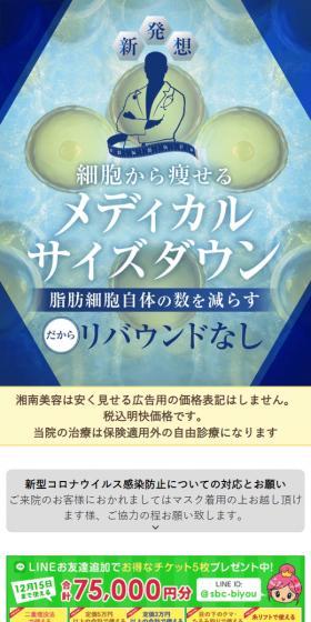Medical Size Down LP design (Dieting and weight loss / Shades of blue / Trust and Safety) Mobile version