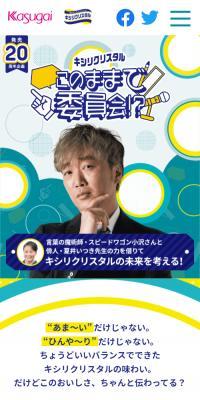 Kishiri Crystal As-Is Committee