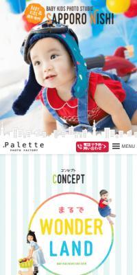Palette+plus