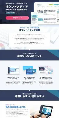 ferret OneのLPデザイン（デザイン・アプリ・システム／ブルー系／信頼・安心系）PC版