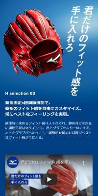 H selection 03