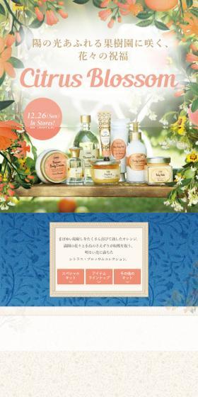 Citrus BlossomのLPデザイン（キッチン・バス用品／グリーン系／清潔系）スマホ版