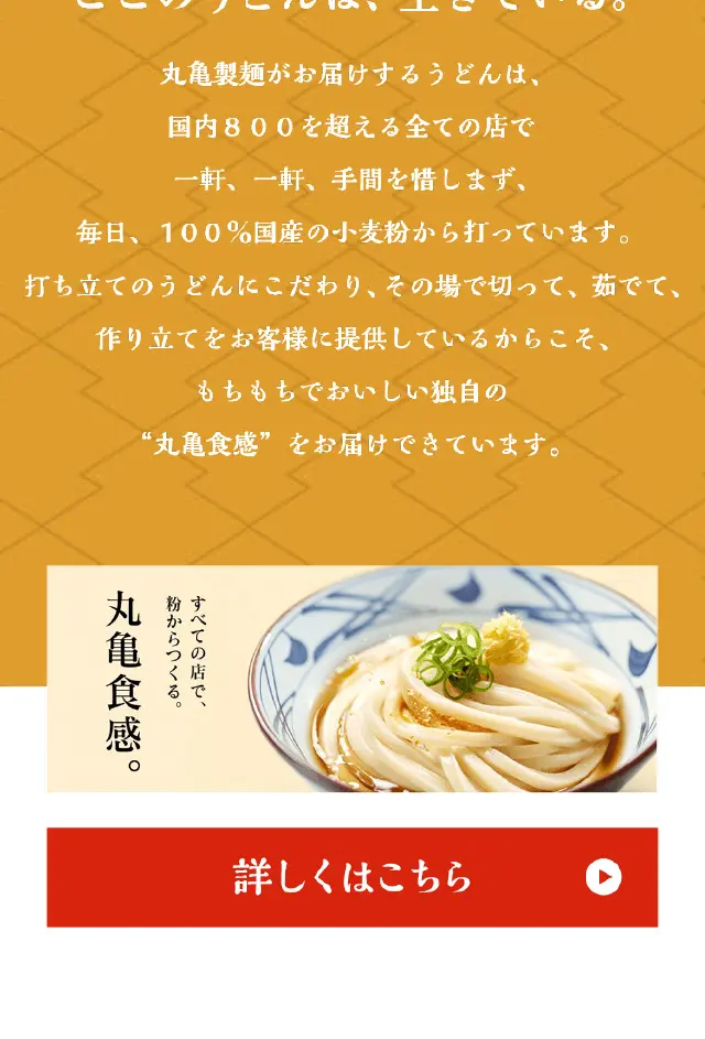 Oyster and Egg Ankake LP design (Noodles, Bread, and Flour-based Foods / Beige tones / Japanese style) Mobile version