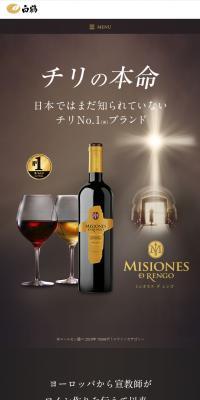 Misiones de Rengo