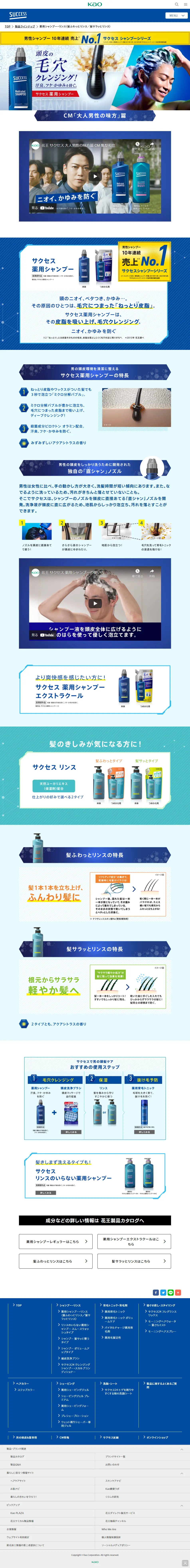 Success Medicated Shampoo LP design (Skincare, Bodycare, Haircare / Shades of blue / Clean-cut) PC version
